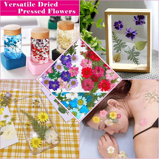 100Pcs Dried Pressed Flowers for Resin Crafts, Small Dried Flower Natural Herbs Pressed for Scrapbooking Greeting Card DIY Bookmark Resin Epoxy Accessories Nails Decor Soap and Candle Making