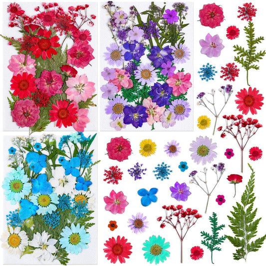 100Pcs Dried Pressed Flowers for Resin Crafts, Small Dried Flower Natural Herbs Pressed for Scrapbooking Greeting Card DIY Bookmark Resin Epoxy Accessories Nails Decor Soap and Candle Making
